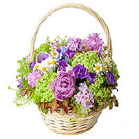  Purple green combination hyacinths, tulips and hydrangeas make this an ideal gi...