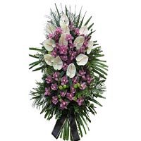  Anthurium and orchid show how much you mean deceased. ...
