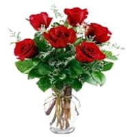 Send this elegant arrangement of red roses on the Valentine's Day. It's timeless...