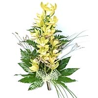 The spectacular bouquet consisting of 1 Lats cymbi...