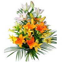 Sparkling blend of beautiful lilies 7, supplemented by greenery is an unmistakab...