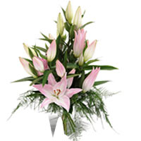 Pink Lilies with Passion