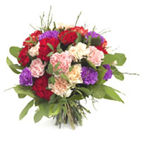 Carnation nation! A full, round bouquet of three d...