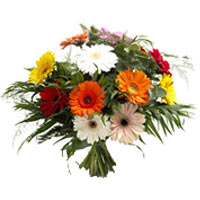 This pleasant bouquet is good for a myriad of situ...
