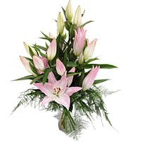 Pink Lilies with Passion