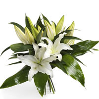 Wonderfully White Lilies