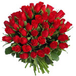 Tender Beauty of 24 Red Roses
