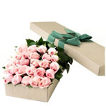 Lovely New Year Nativity Gift Box of 2 Dozen Pink Roses