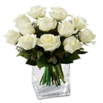 Majestic White Roses for Bright New Year