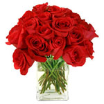 Enchanting Assortment of Deep Red Roses