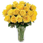 Expressive Engagement of Yellow Roses
