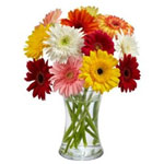 Captivating New Year Fun Flowers