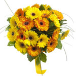 Cheerful Gerberas for Romantic Moments
