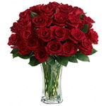 Gorgeous Cluster of Festive Red Roses