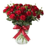 Tender Red Roses in a Stylish Vase
