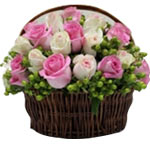 Blushing Harmony Pink Roses