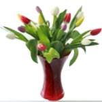 Artistic Mixed Dutch Tulips in Hand Made Glass Vase