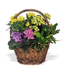Bountiful Garden Flower Basket 