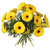Bouquet of Gerbera flowers