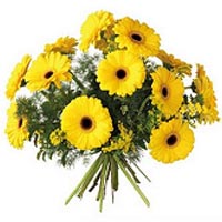 Bouquet of Gerbera flowers