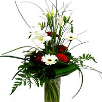 bouquet of white freesioita