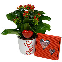 Valentine Gifts 21