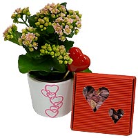 Valentine Gifts 22