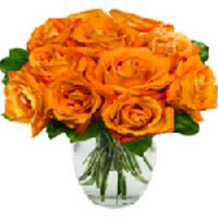 This bright bouquet of 10 Orange Roses to show surprise for your special ones. ...