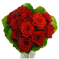 11 Red Roses Bunch