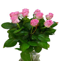 A beautiful 10 pink roses make this an effortlessely gorgeous, its simple, trend...