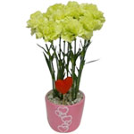 Love in the Horizon Bouquet