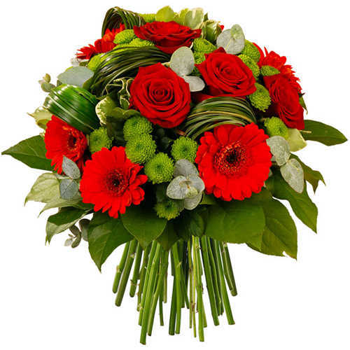 Blossoming Selection of Red Roses with Soft Green Santini