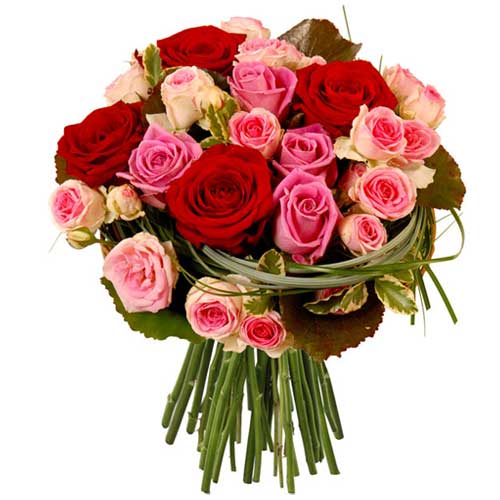 Passionate Bouquet of Mixed Color Roses