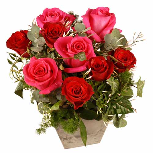Blooming Mix Arrangement of Pink N Red Roses