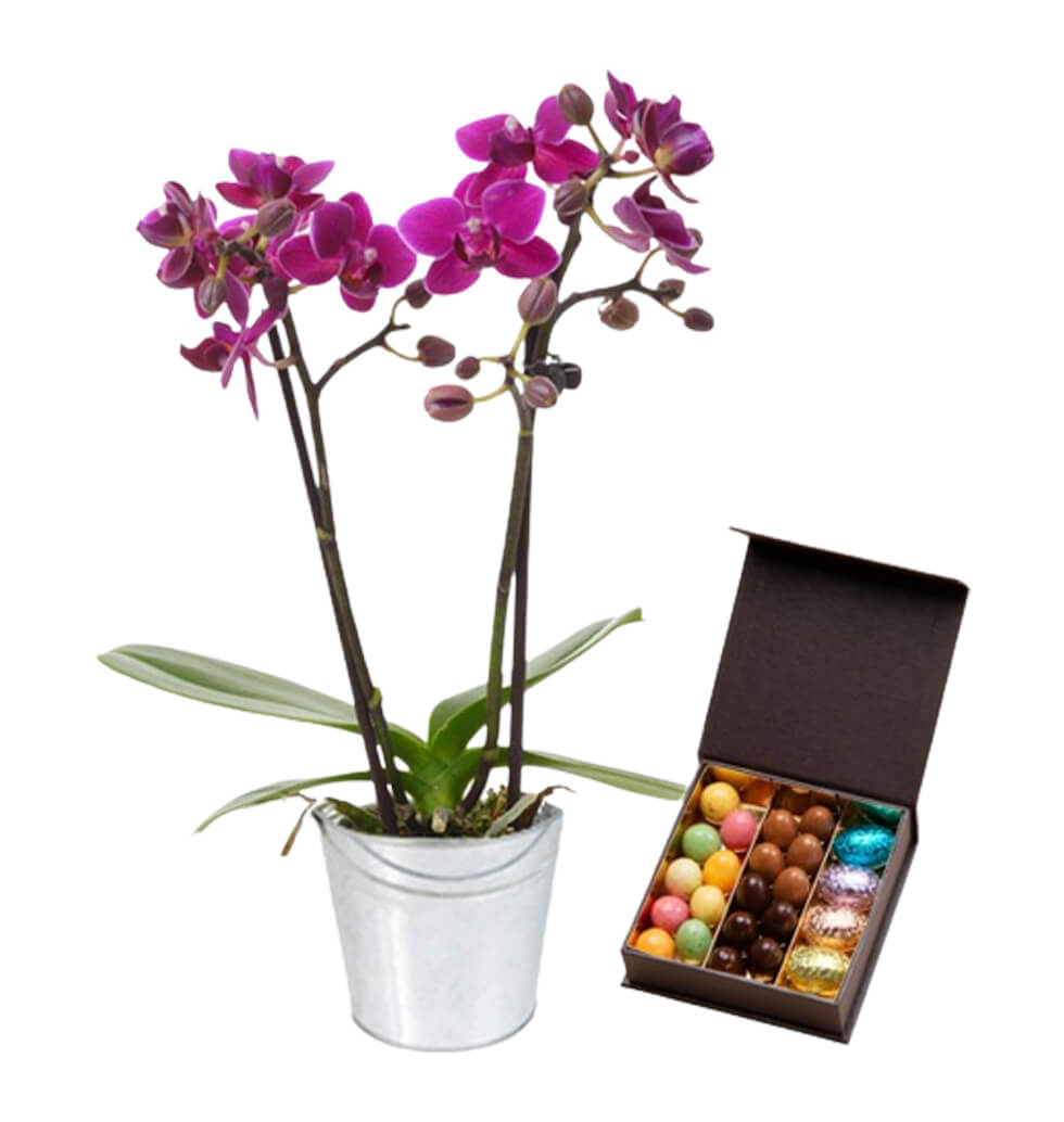 Chocolates With Orchid