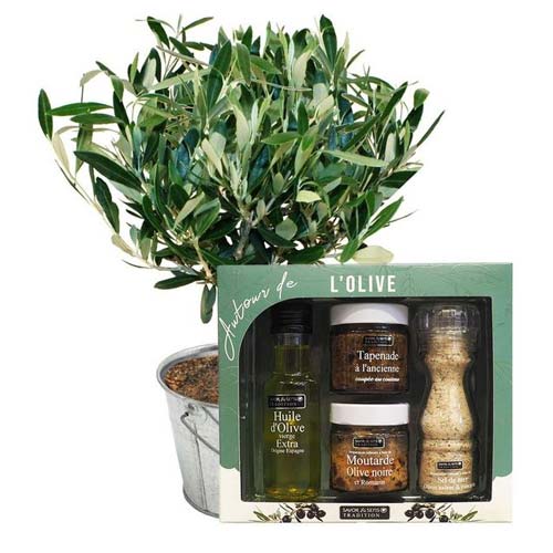 Treasured Assemble ofOlivier Arrangement and Savory Treat Dine Hamper