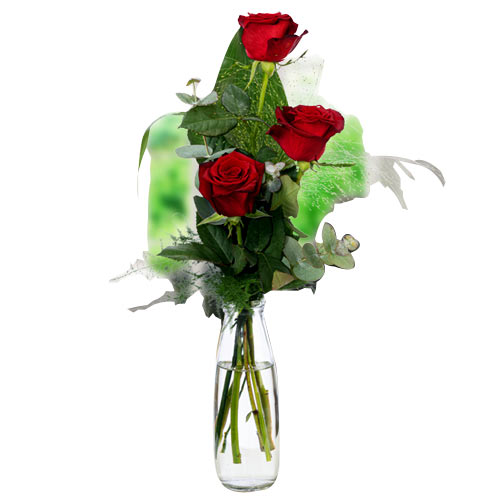 Classic Arrangement of Long-stemmed Roses with Vase