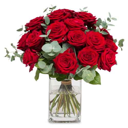 Pristine Red Roses Bouquet
