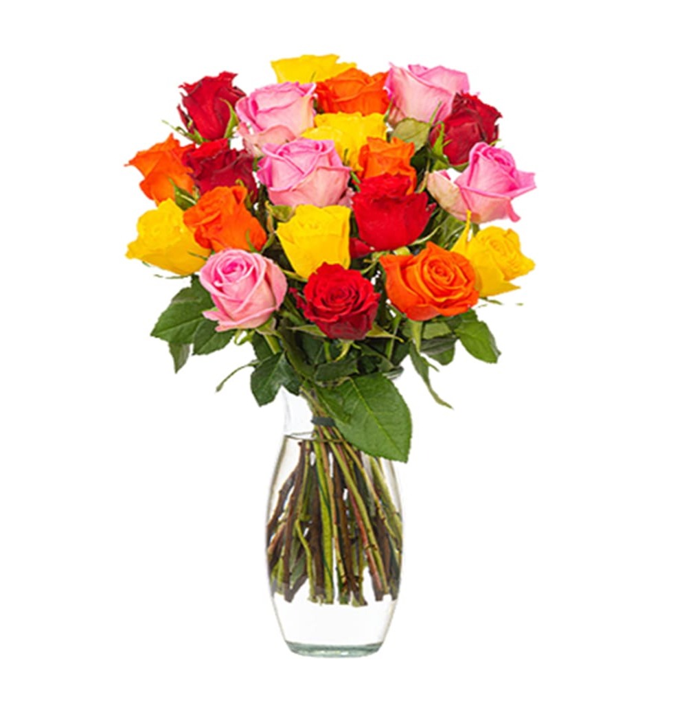 Vase Filled with Vibrant Roses