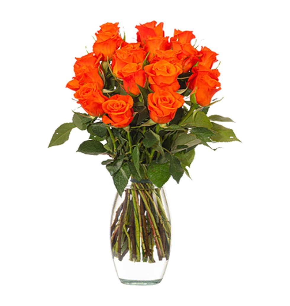 Bouquet of Twenty Orange Roses