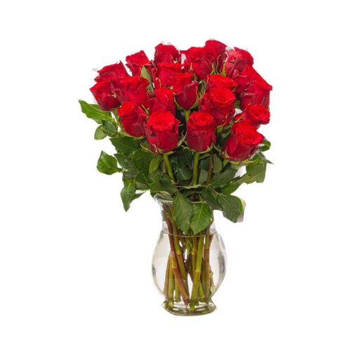 Ethical Roses In A Vase