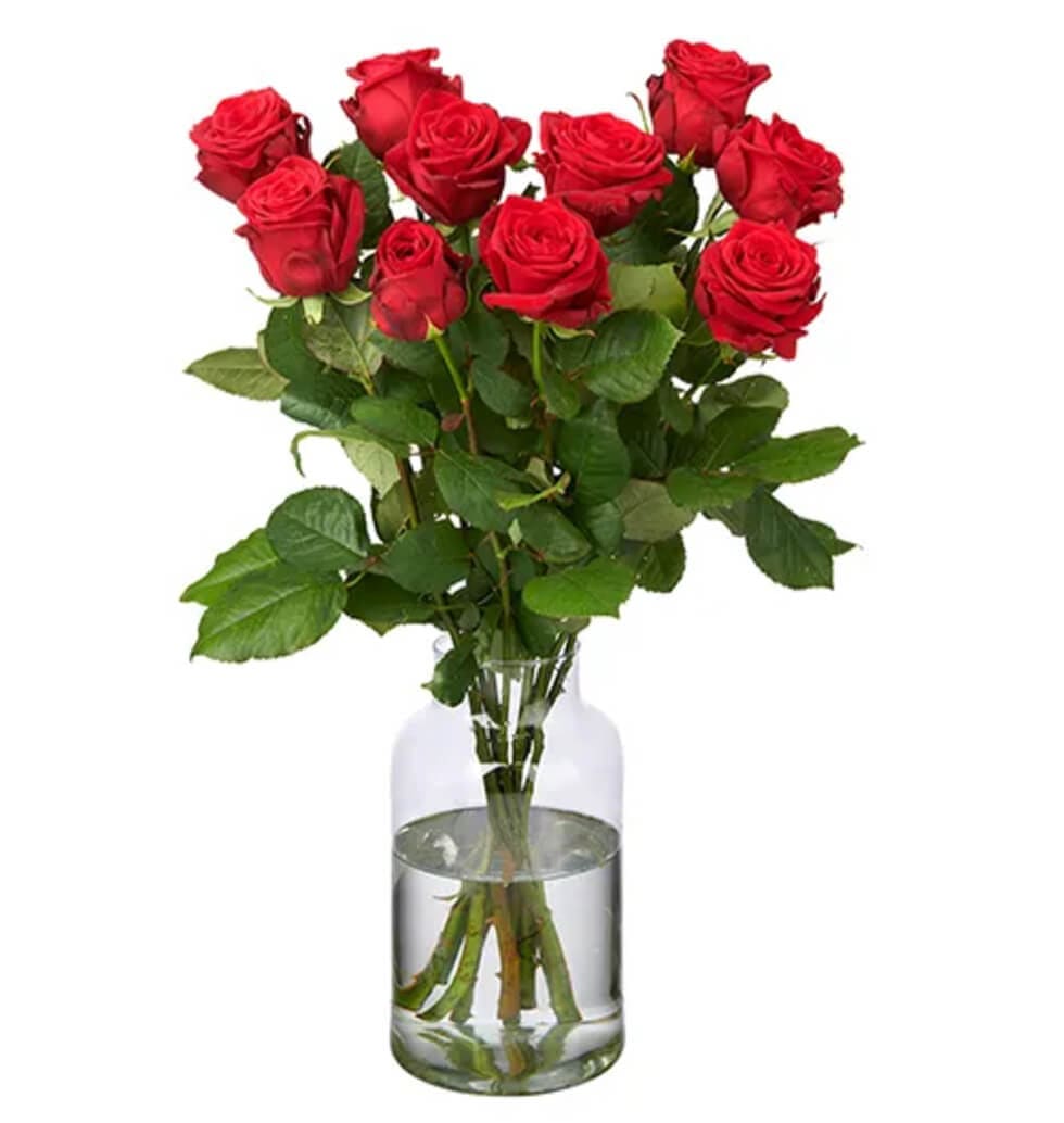 Premium 10 Red Roses