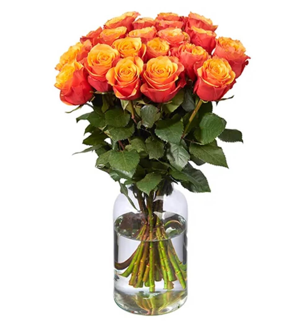 Arrangement Of 20 Orange Roses
