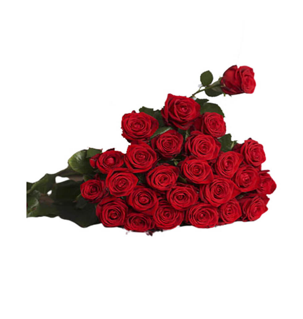 Our sophisticated red roses will speak for themsel......  to Wiesbaden