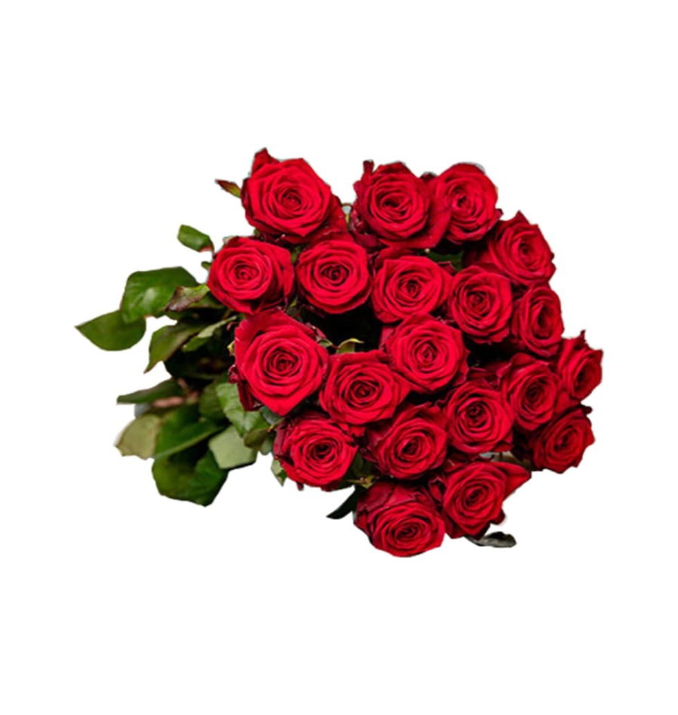 Fall in love with this classic bouquet of red rose......  to Trossingen