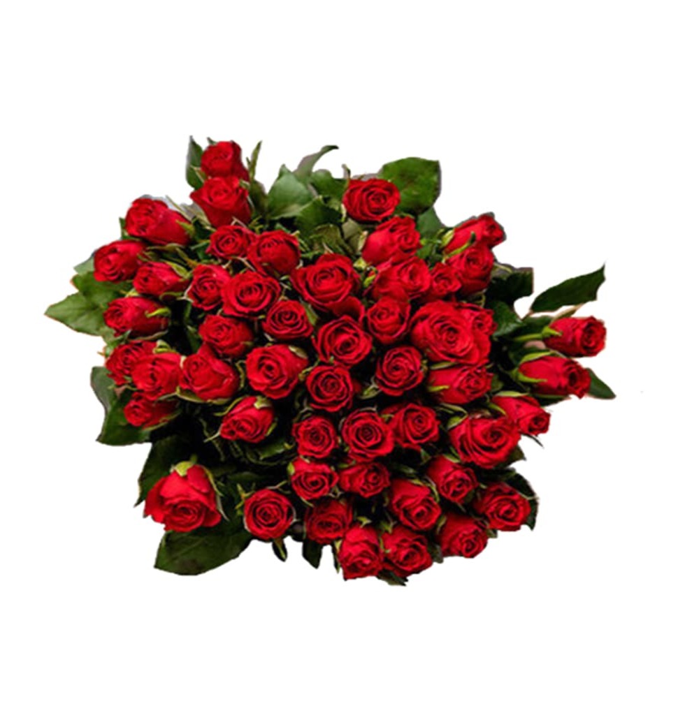 When a bunch of 50 ravishing Red Roses come togeth......  to Ansbach