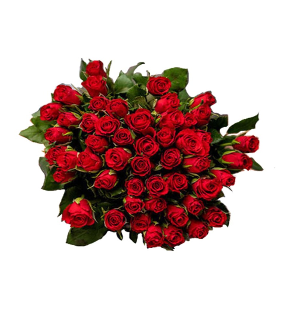 When a bunch of 50 ravishing Red Roses come togeth......  to Herford