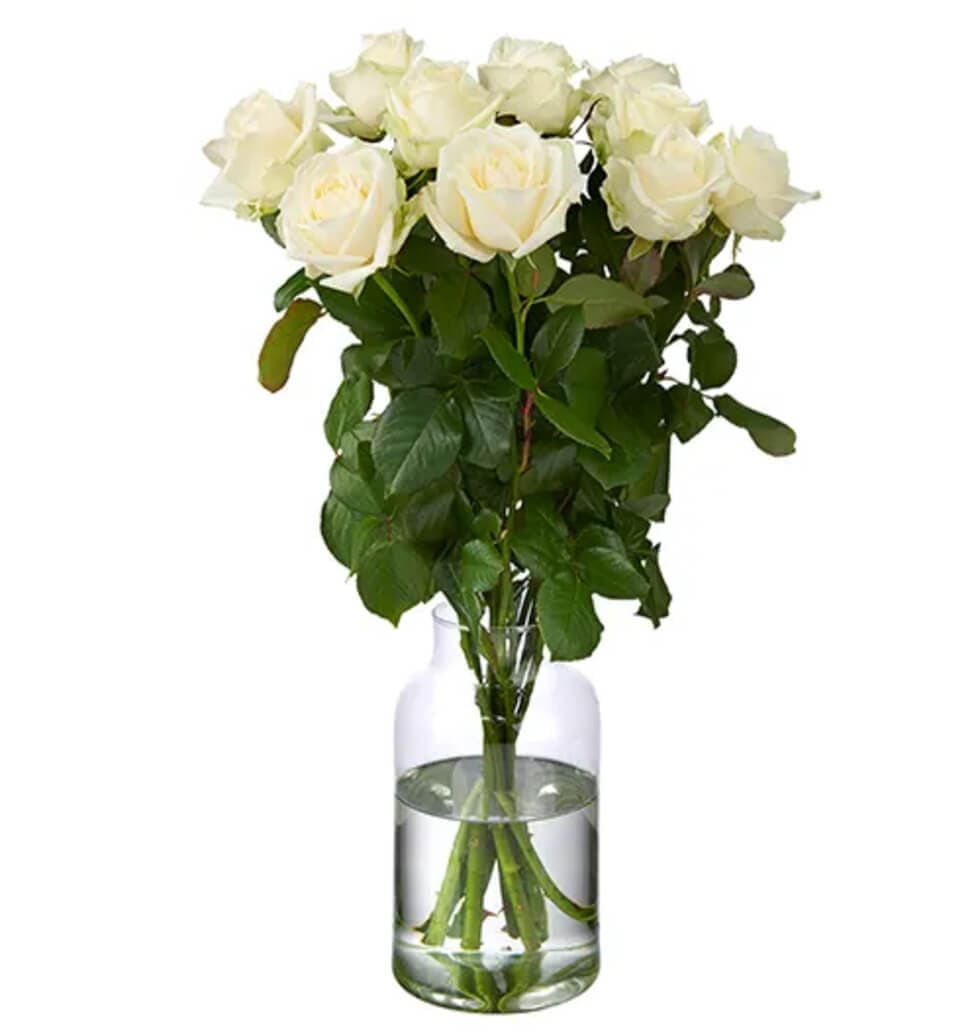 Roses are always a great gift for that special som......  to Clausthal