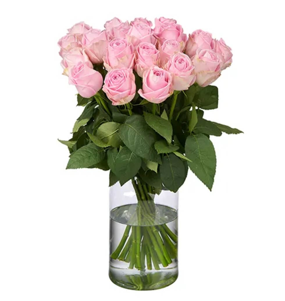 Pink roses are exquisite in their natural state an......  to Weimar