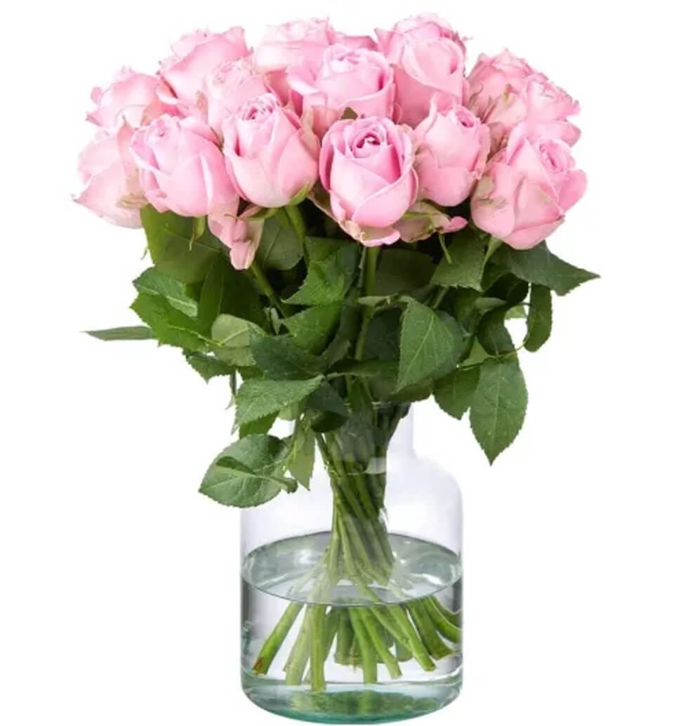 Roses in a soft pink hue are naturally stunning an......  to Magdeburg
